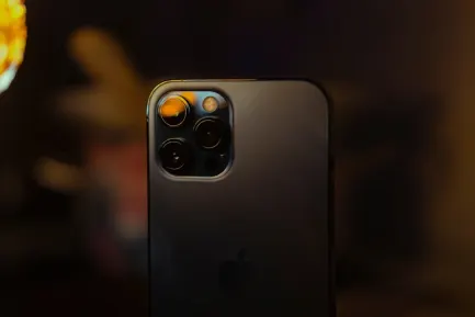 휠즈 카지노 모바일 앱